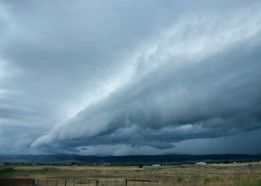 Squall line